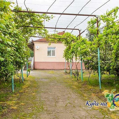 U Vili Hotel Pizunda Esterno foto